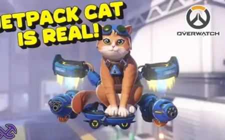 Overwatch Leak Reveals Jetpack Cat as Upcoming Hero!