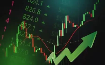 Whales Bet Big on NVIDIA: Here’s What They’re Eyeing