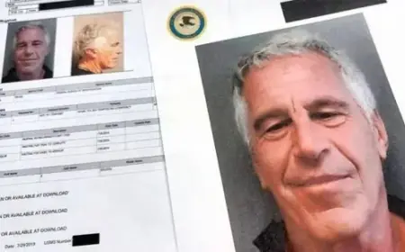 New Epstein Theories Emerge Following Release of Intriguing Files