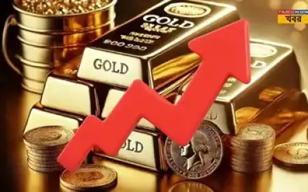 Gold price today holds near $5,050 as markets digest big two-day swing