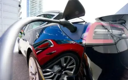 Federal Government Plans to Abandon Zero-Emissions Vehicle Mandate