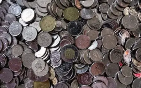 Advocacy Group Urges Action on Old Age Security Reform