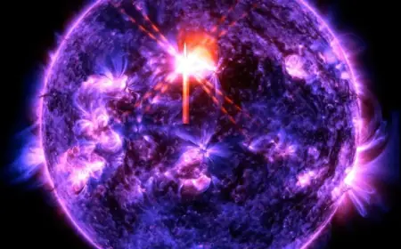 Sun Unleashes Powerful Flare