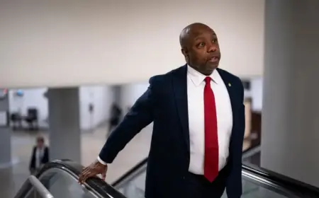 GOP Senator Declares Powell Innocent in Testimony