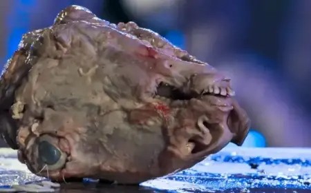 Exclusive Clip: Dive into Germ-Filled Thrills in ‘Fear Factor: House of Fear’