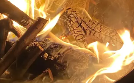 Is Charcoal the Key to Algoma Steel’s Future Success?