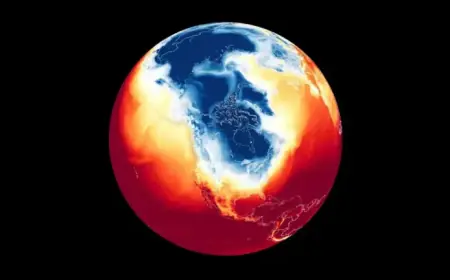 Brace for Another Polar Vortex: Keep Your Winter Jacket Ready