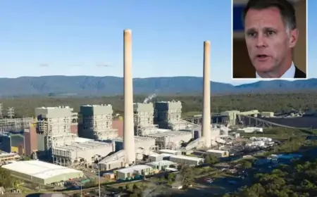 Eraring Coal Plant Deal Saves Taxpayers Without Spending a Dollar