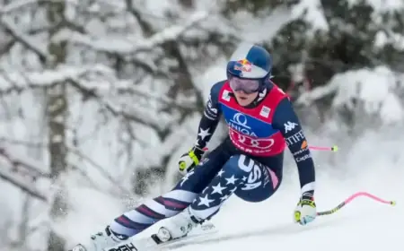 Top Streaming Picks for February 2026 on Netflix, Hulu, and Peacock