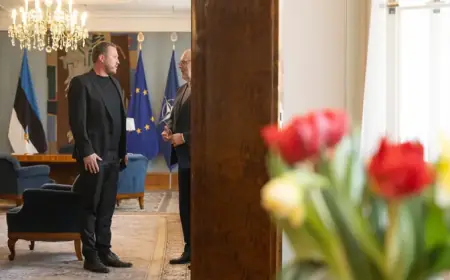 Estonian Foreign Minister Rejects President’s Kremlin Talks Proposal