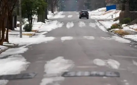 Memphis Schools Announce Thursday Closures: Check the Latest Updates