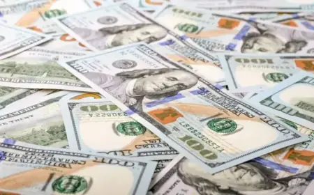 $475,000 Lottery Ticket Sold at Broward Convenience Store: Location Revealed