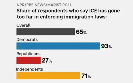 Majority of Americans Believe ICE Oversteps in Immigration Enforcement: NPR