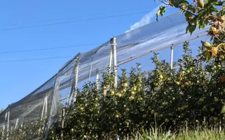 Youth Empowerment: Alto Adige Offers New Agriculture Settlement Grants