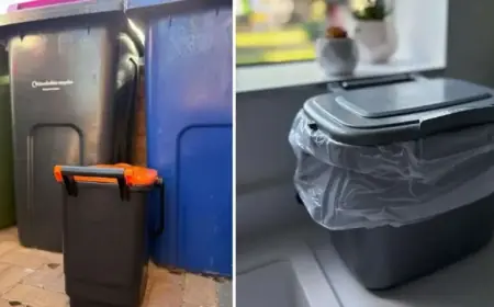 Lincolnshire Begins Food Waste Collections: Caddies Delivery Details Revealed