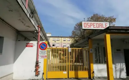 Sinistra Italiana Warns: Vibo Health System Collapses After 15 Years of Oversight