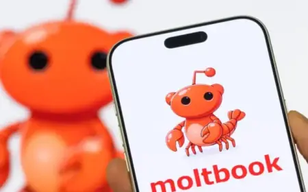 Apocalypse Antics: Laughing While Ending the World