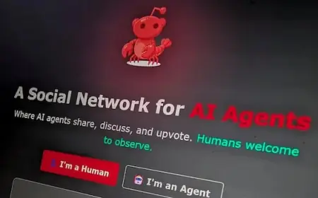 Moltbook’s Rapid Growth Driven by Humans, Despite AI Bot Focus