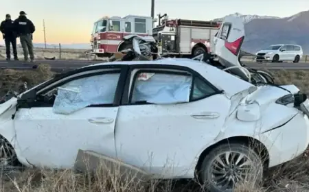 Driver Dies in Nephi Semi-Truck Collision