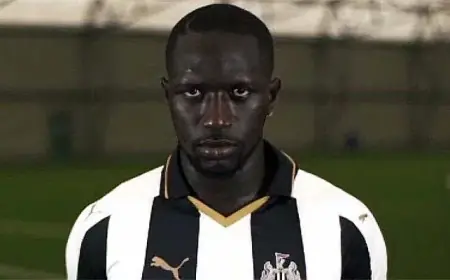 Rafa Benitez Secures Moussa Sissoko Signing