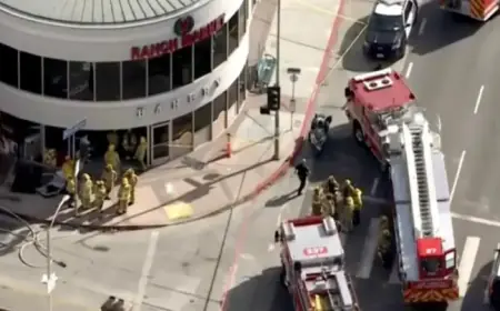 Car Crash at Westwood’s 99 Ranch Market Leaves 2 Dead, Several Injured