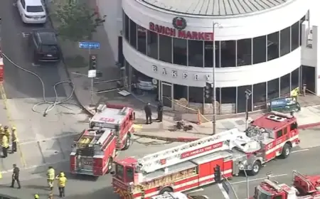 Car Crashes into Westwood’s 99 Ranch Market: 3 Dead, 7 Injured