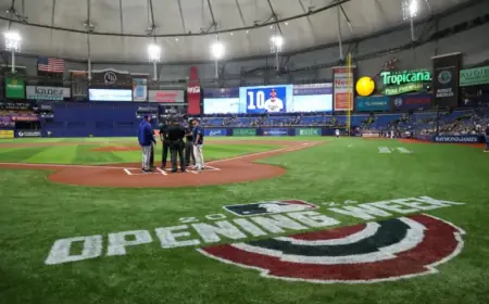 Rays Intensify Efforts for New Stadium Development