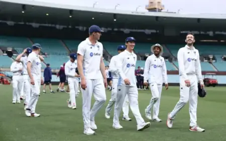 NSW Blues Clash with South Australia at SCG: Spectator Guide