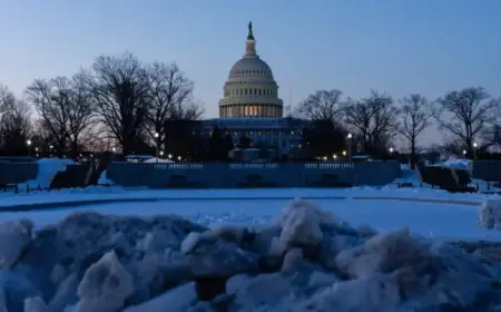Senators Debate Immigration Enforcement, Risk D.H.S. Shutdown