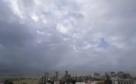 Storm Forces Building Evacuations, Surgery Cancellations Amid Record Rainfall