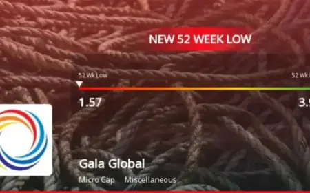 Gala Global Products Ltd Reaches 52-Week Low Amid Financial Challenges