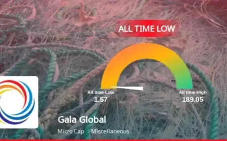 Gala Global Products Stock Hits Record Low Amid Continued Downtrend