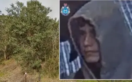 Police Seek Suspect in Perth Bushland Fire Investigation