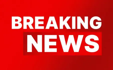 Perth Hills Bushfire Closes Roads, Threatens Lives and Homes