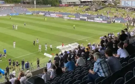 Council Approves Free Entry Game as Bulls Host Perth