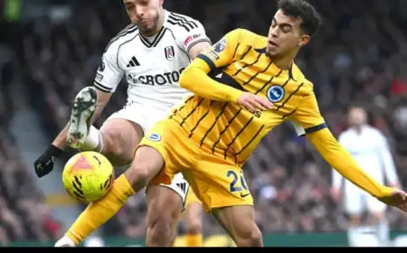 Albion Face Injury Setback for Palace Clash, Yet One Player Returns