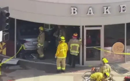 Car Crashes into Los Angeles Supermarket: 3 Dead, 6 Injured