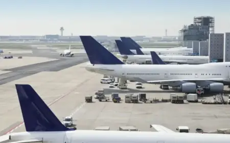 Airline Liquidates After Passenger Numbers Plummet; Flights Cancelled