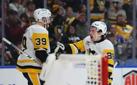 Rookies and Refs: Tackling Real Challenges in Sports