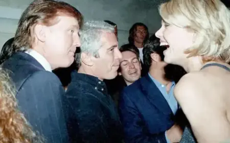 Stéphan Bureau Analyzes Latest Epstein Case Developments: Elite Connections Revealed