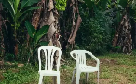 Unveiling Bad Bunny’s Album Cover and the Iconic Chair Behind It