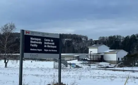 Experts Urge Government to Keep N.B. Fish Research Facility Open