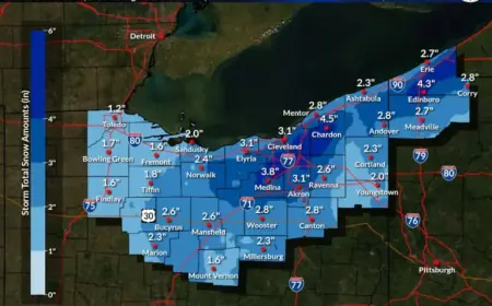Friday Snowfall to Disrupt Morning and Evening Commutes