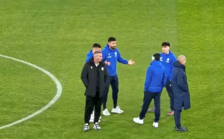 Paul Papp Delivers Tactical Lesson to Petrolul Players in Giulești Debut