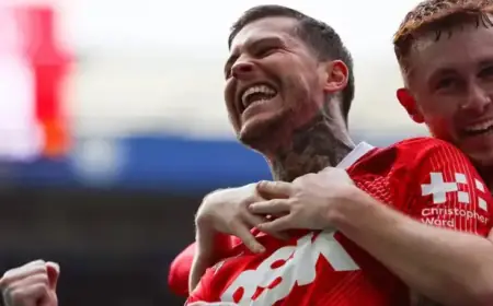 QPR Edition: Valley Review Offers In-Depth Insights