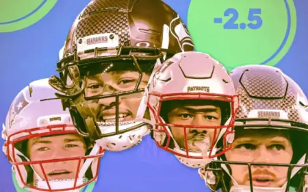 Top NFL Betting Picks for Super Bowl LX