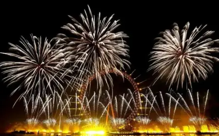 Amazon’s Capex Boosts AI Supply Chain Growth