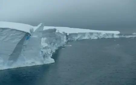 Scientists’ Attempt to Drill ‘Doomsday Glacier’ Thwarted by Antarctic Ice