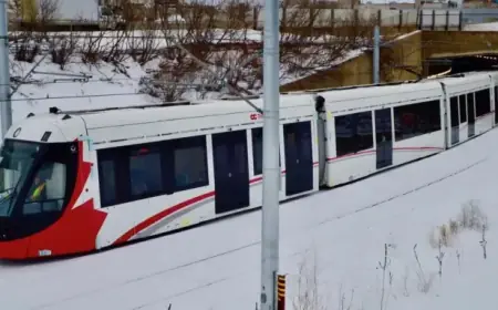 “Most Oscar Voters Prefer Streaming Platforms for Viewing Films”