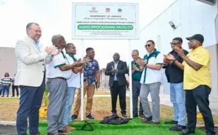 Jamaica Unveils Ambitious Multi-Million Dollar Initiative
